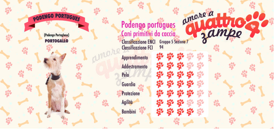 Podengo Portugues scheda razza