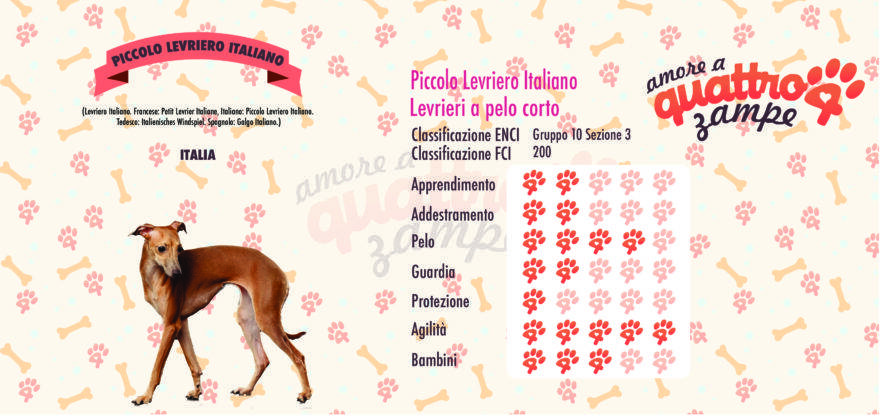 Piccolo Levriero Italiano scheda razza