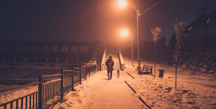 Cane che passeggia con il padrone nella notte