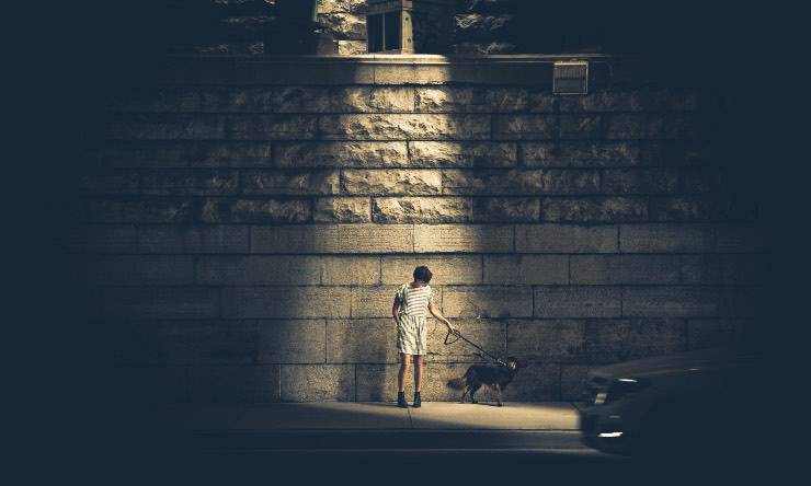 Cane con padrona nella notte