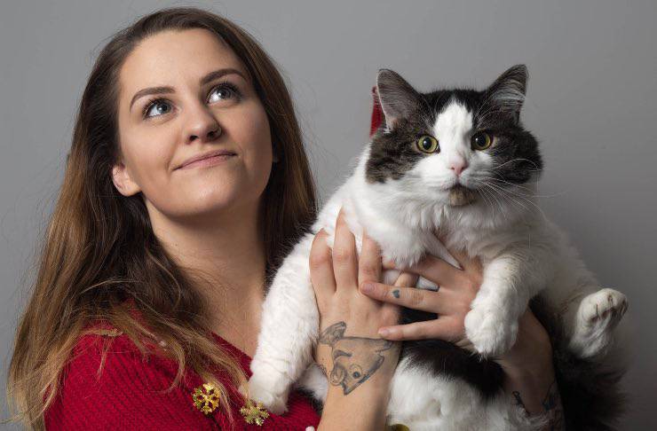 Gatto con umano contrariato