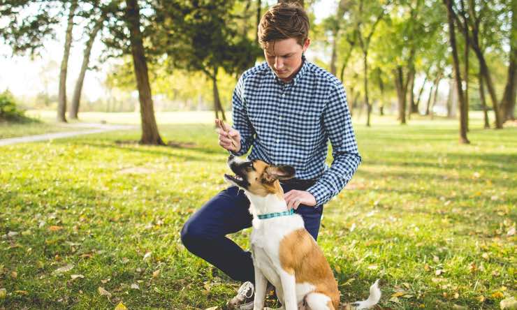 Cane e uomo a passeggio