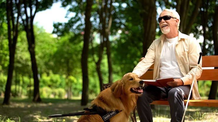 Giornata Nazionale del Cane Guida