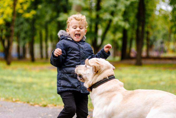 Il cane attacca i bambini
