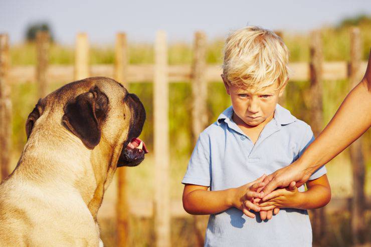 Il cane attacca i bambini