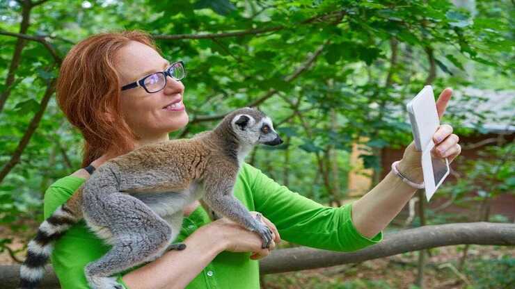 volontariato animali selvatici etico