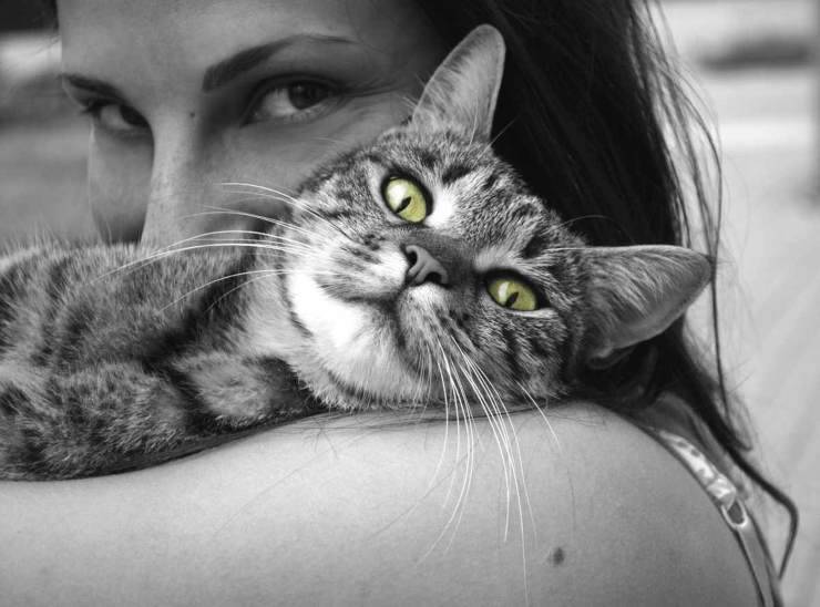 Il gatto si fida di me