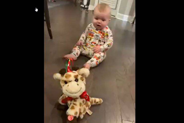 bimbo animale peluche