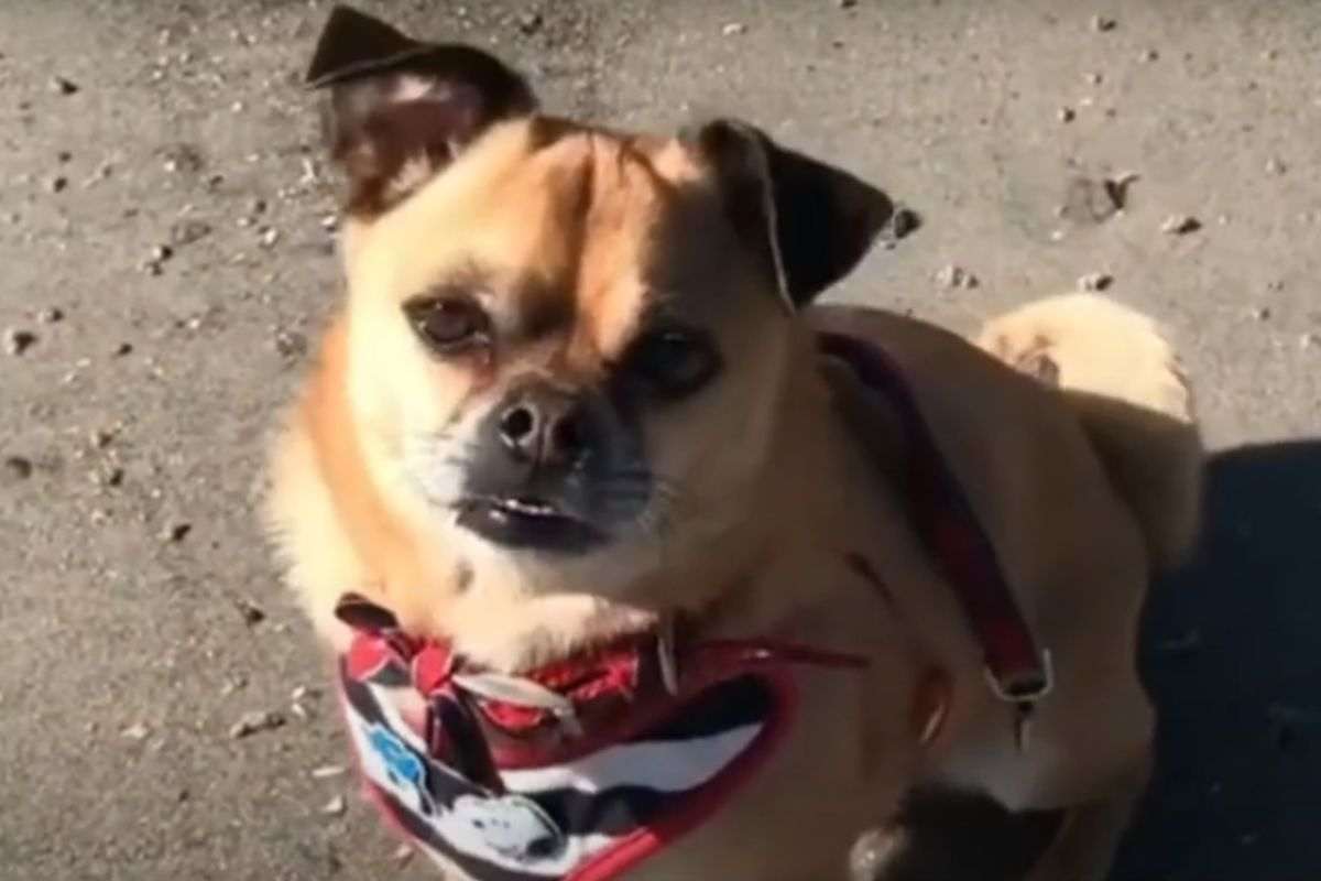 chug