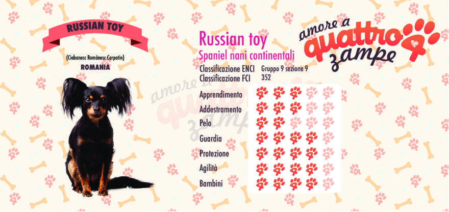 Russian Toy scheda razza