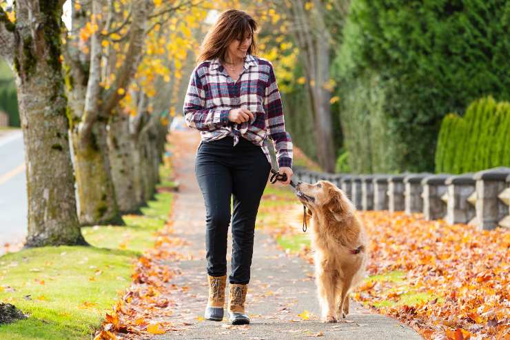 ortare il cane a fare la passeggiata