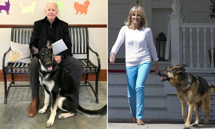 biden moglie cani Pets dei Presidenti