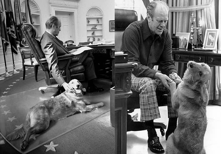 Pets dei Presidenti Ford