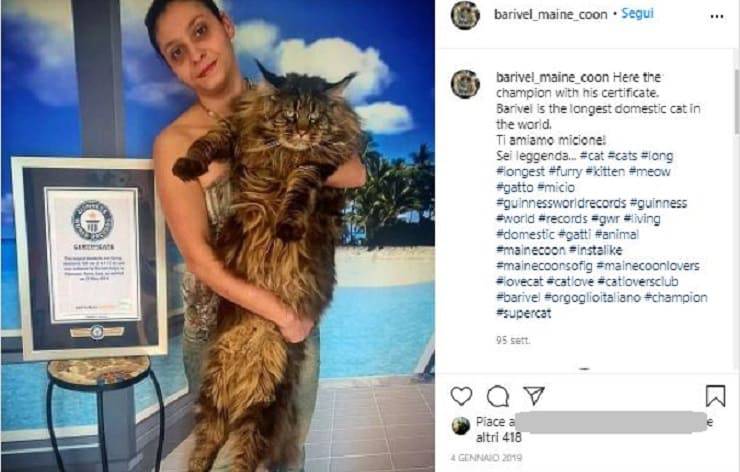 record gatti guinness primati gatto più lungo vivente