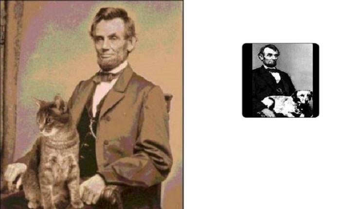 Abraham Lincoln cane gatto