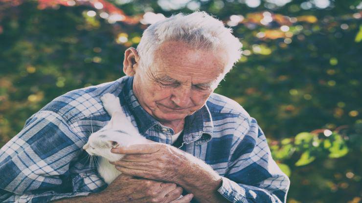 Accettare che il gatto sta invecchiando