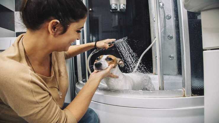 Lavaggio del cane Lavatrice per cani (Foto Adobe Stock)
