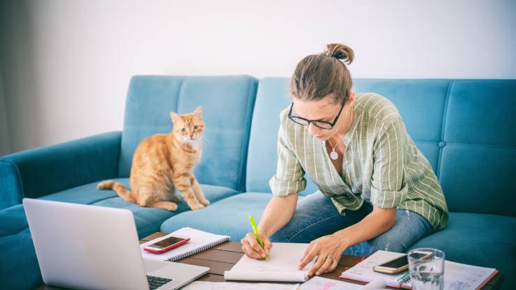 gatto sul divano mentre padrona lavora convivere con un gatto stimola mente e corpo