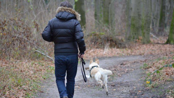 cane a passeggio con padrone coprifuoco portare fuori cane