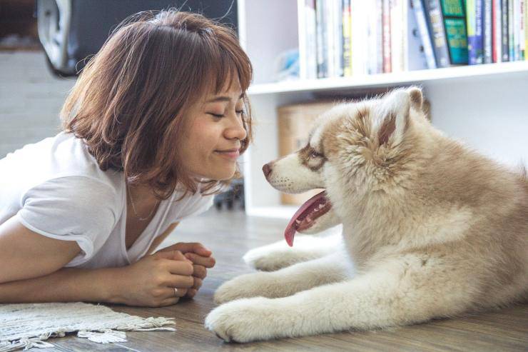Cane e donna Cane e donna