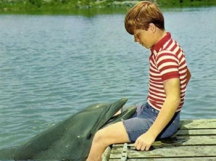 flipper film delfino