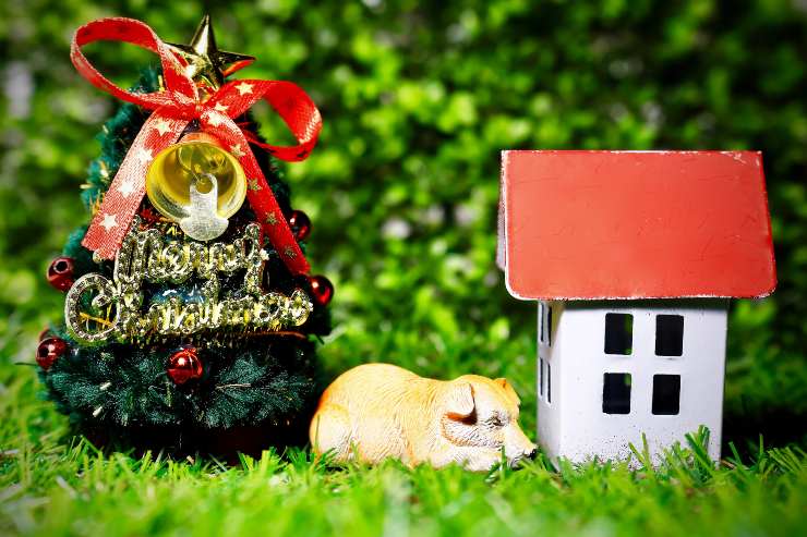 Decorare la cuccia del cane per Natale