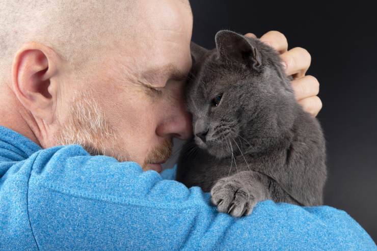 Il gatto sbava se lo accarezzo Il gatto sbava se lo accarezzo