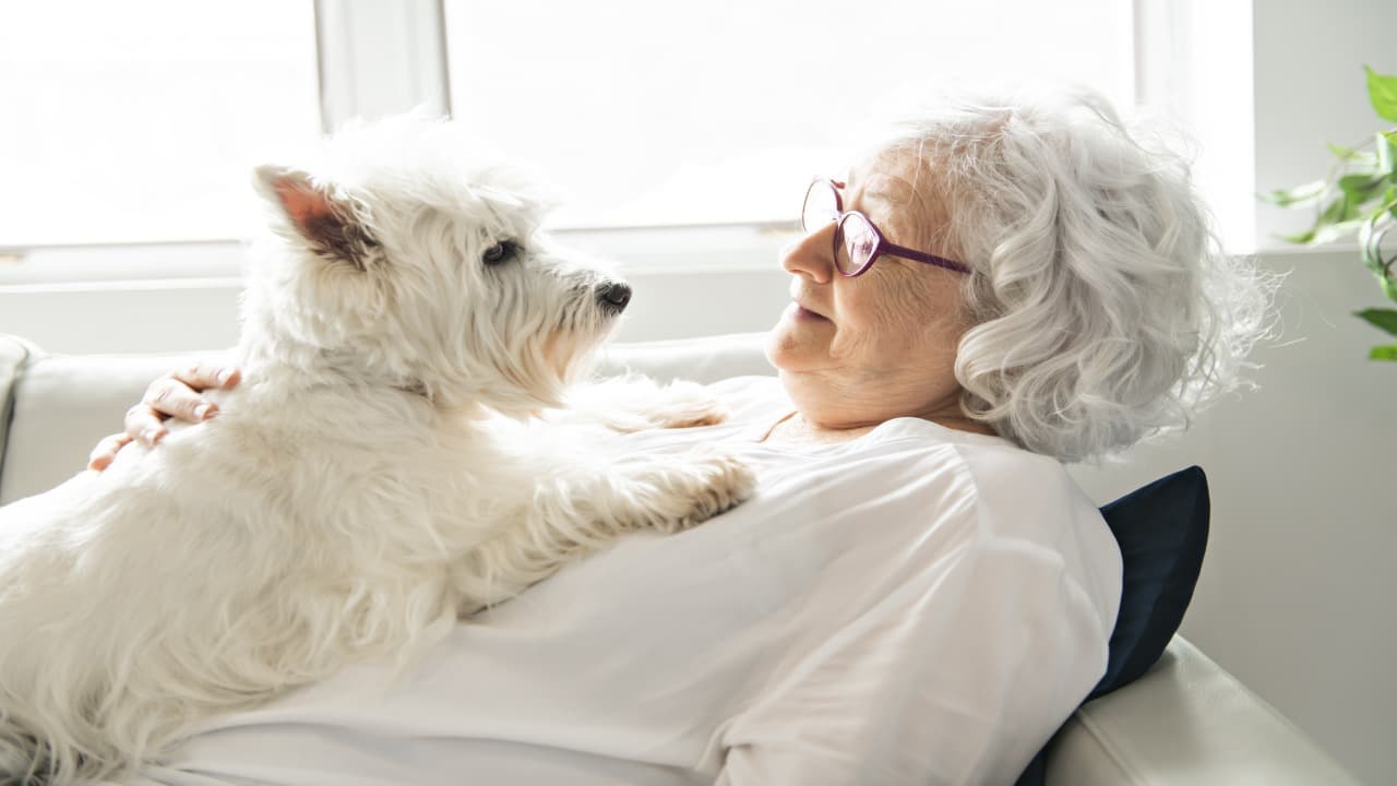 cane e anziana La compagnia di un cane aiuta i malati di Alzheimer
