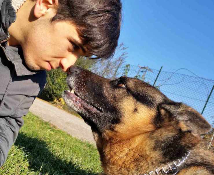 Padroni pazzi per i loro cani
