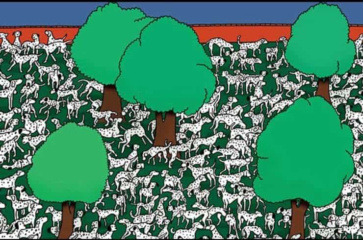 Test visivo trova il dalmata senza macchie nascosto tra i suoi fratelli con le macchie