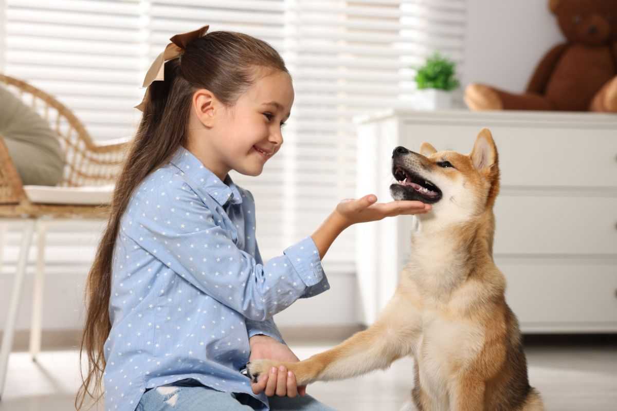 cane e bambina