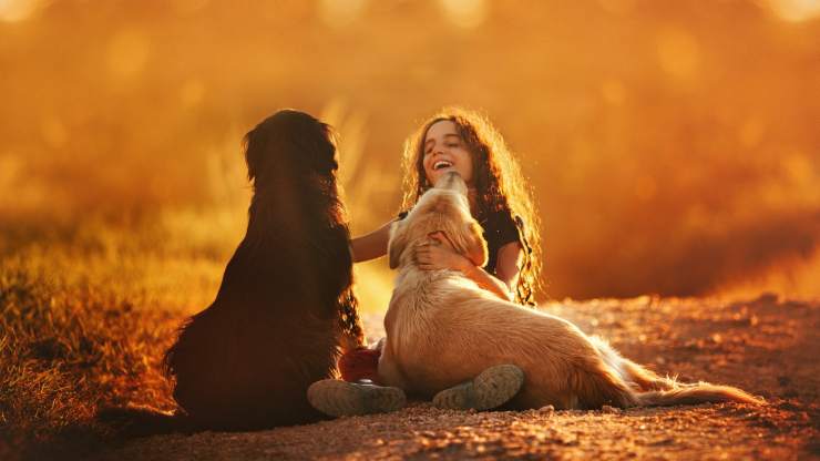 cani con bambina cani sono fedeli