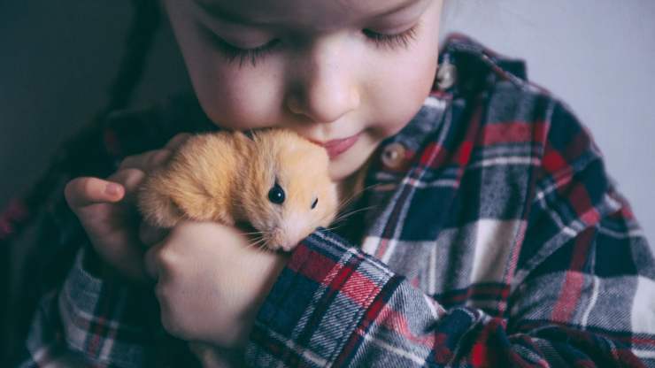 criceto con bambino criceto e bambini