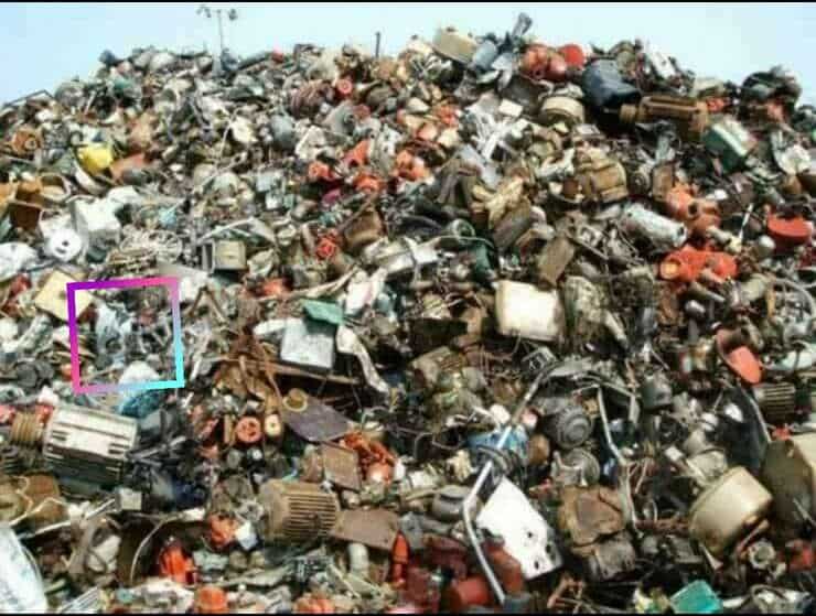 Soluzione del test visivo del gatto in discarica 