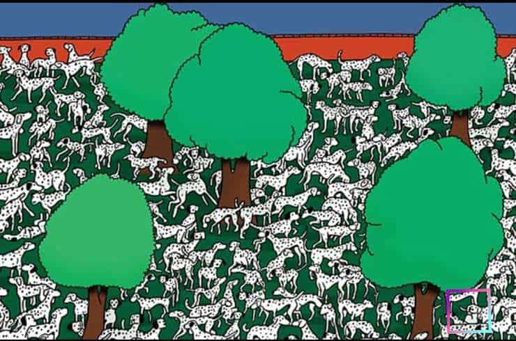 Soluzione test visivo trova il dalmata senza macchie nascosto tra i suoi fratelli con le macchie