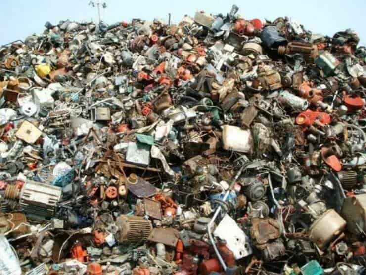 test visivo gatto nella discarica