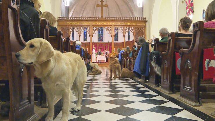 sant antonio abate santo protettore animali domestici