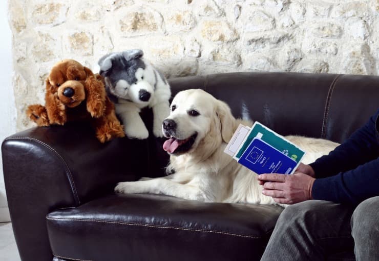 Documenti del cane