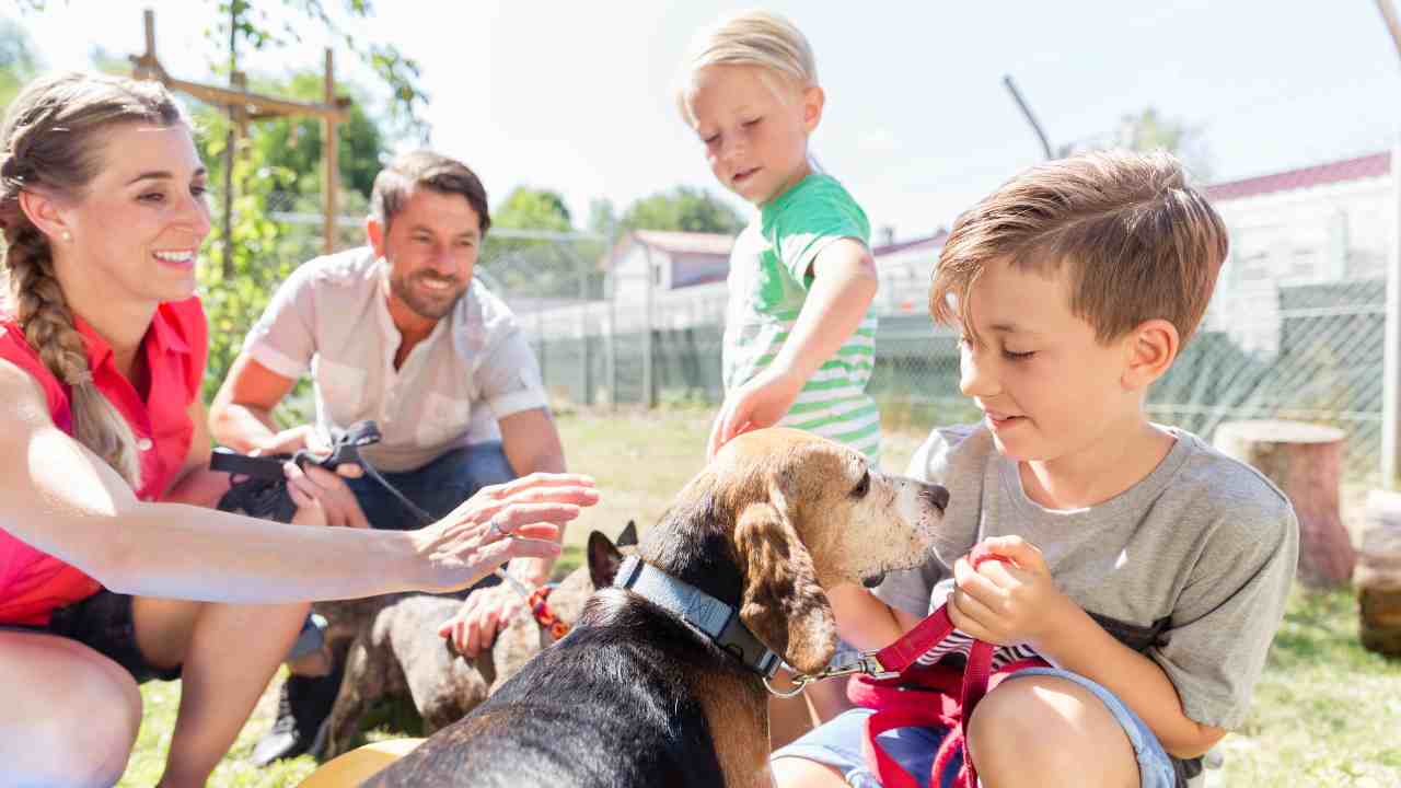 Famiglia adotta cane da un rifugio Rifugi e canili a confronto