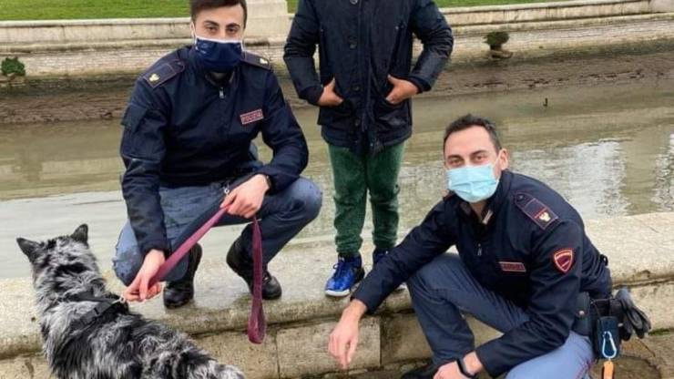 Cane Canale Bambino Polizia