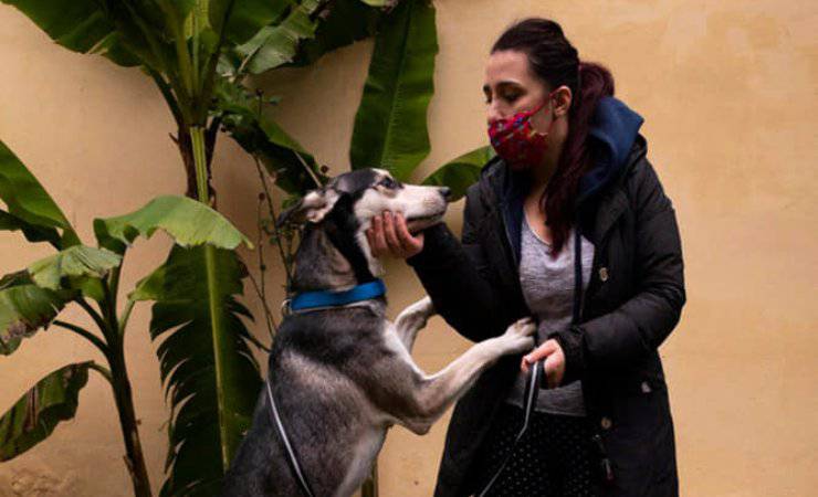 Cane Kin Cerca Casa