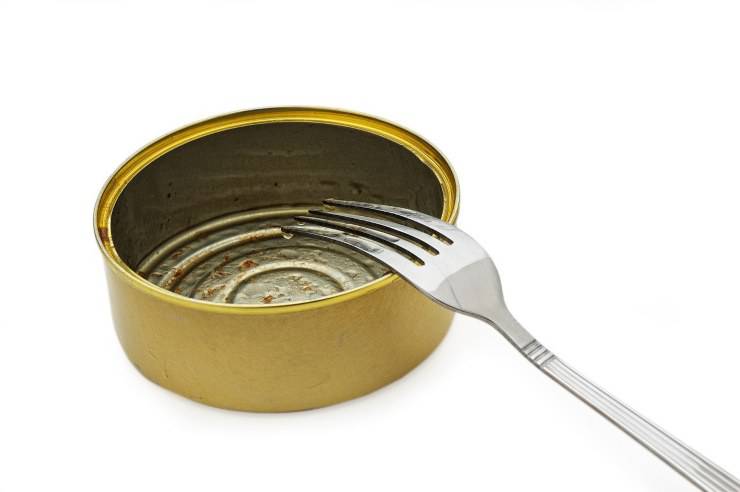 Scatoletta di cibo per cani