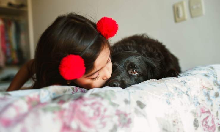 bambina cane