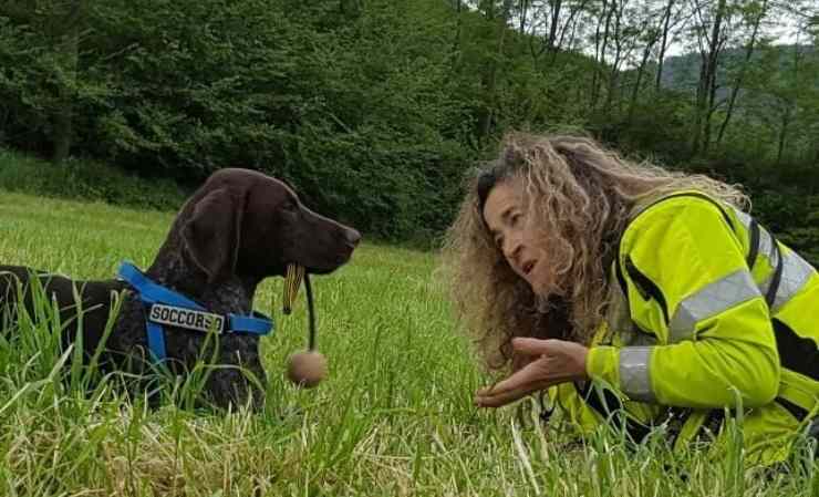cani per diabetici addestramento