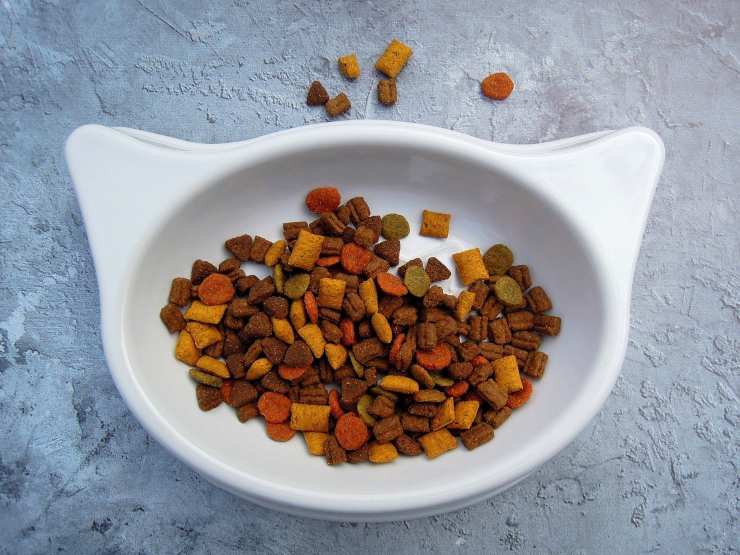 Cibo secco per il gatto