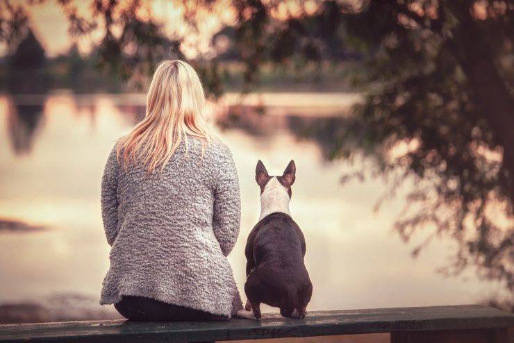 cani cose in comune con umani