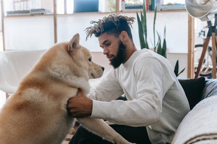 Cane e padrone