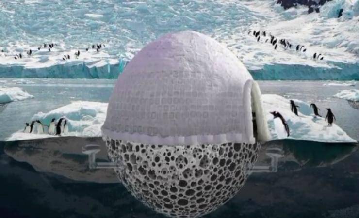 igloo pinguini salvare