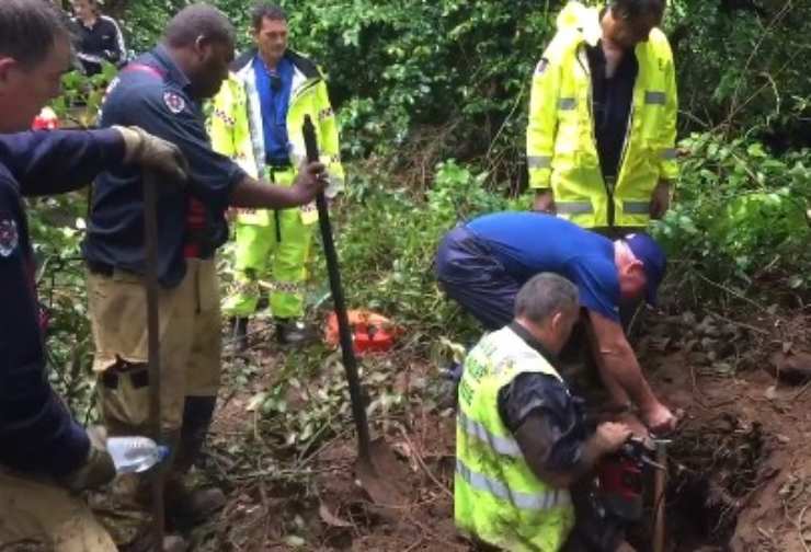 cane caduto tana vombato spacciato miracolo