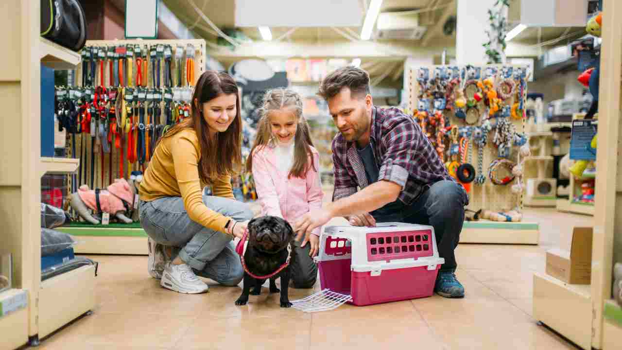 Quali documenti deve consegnarci il venditore del cane?